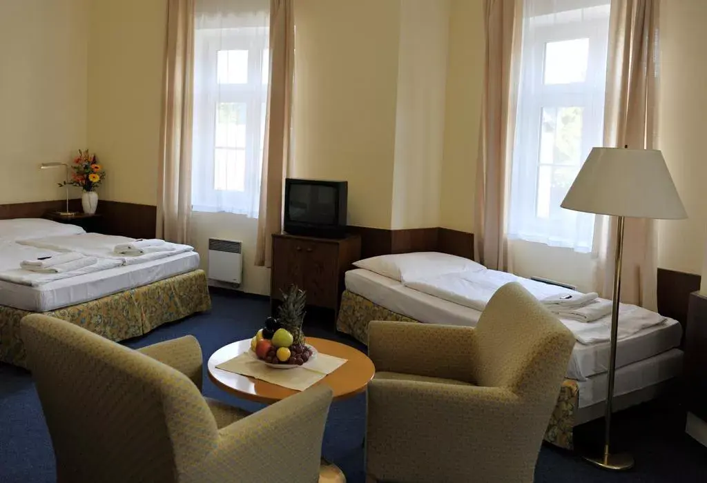 Photo 2 of Hotel Skála